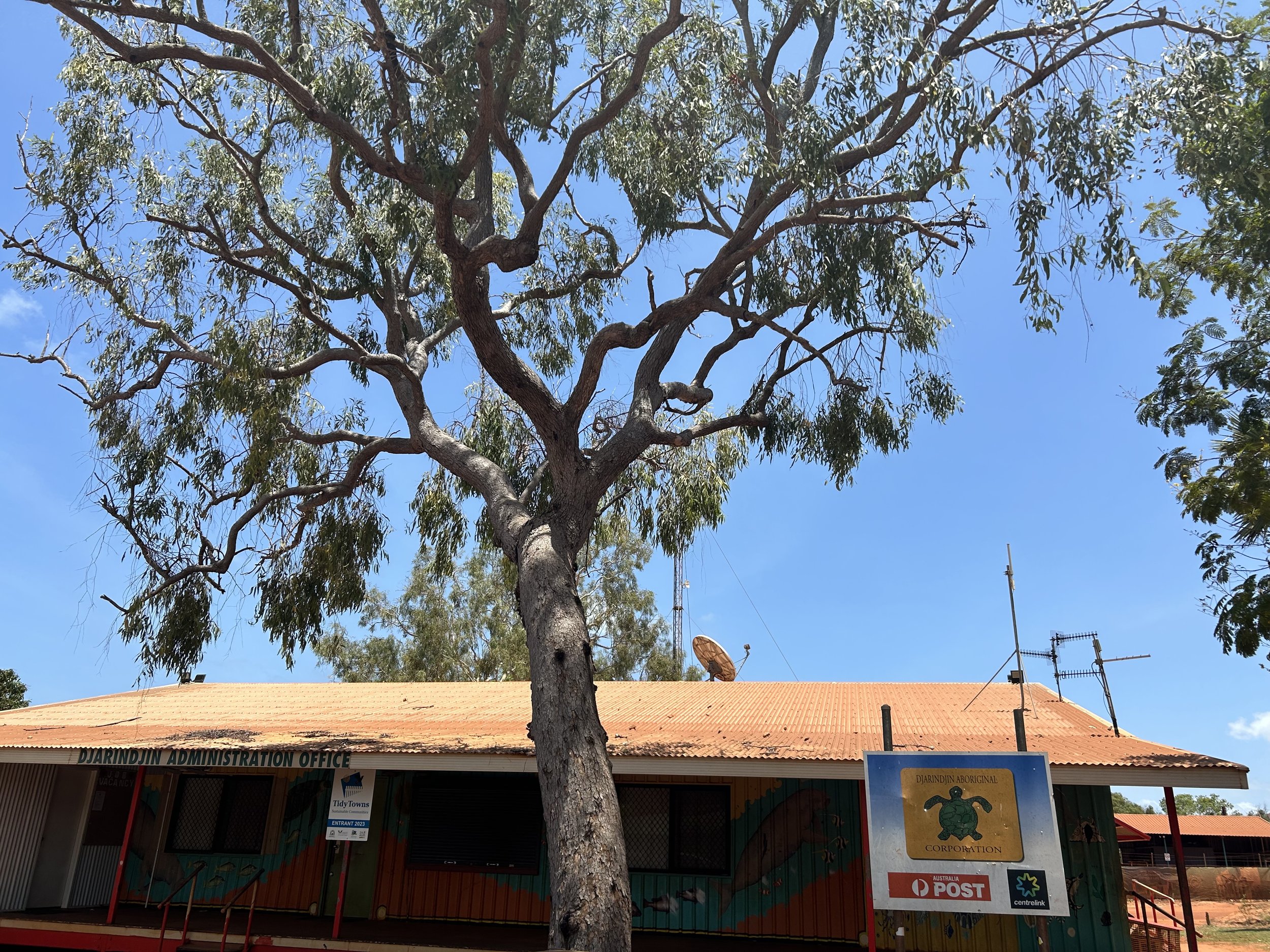 Aalga Goolil – Indigenous owned power station for Djarindjin and Lombadina communities